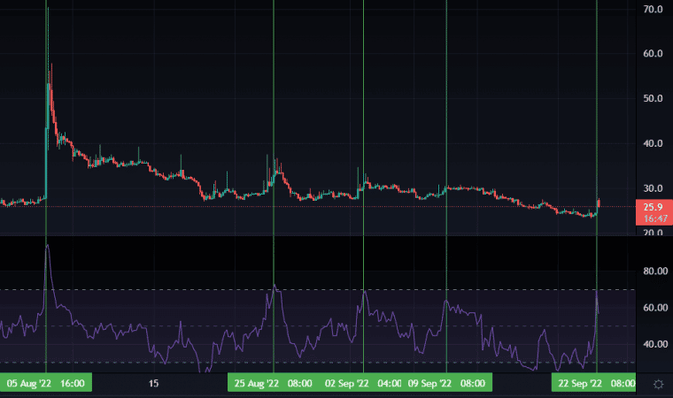 디크레드 코인 차트