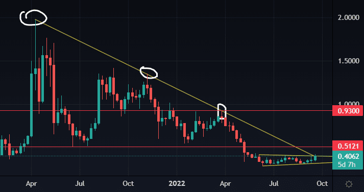 XRP 가격 예상