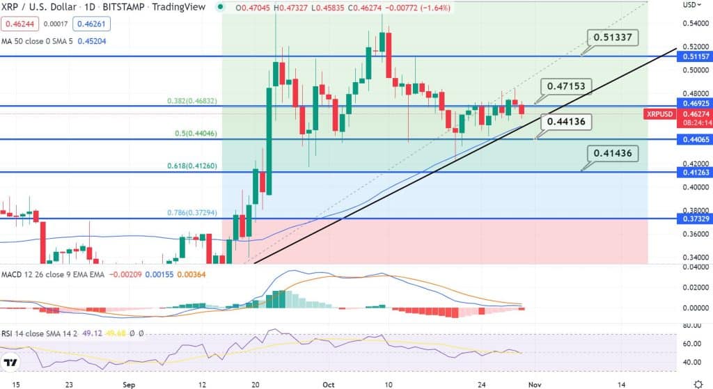 XRP 가격 차트