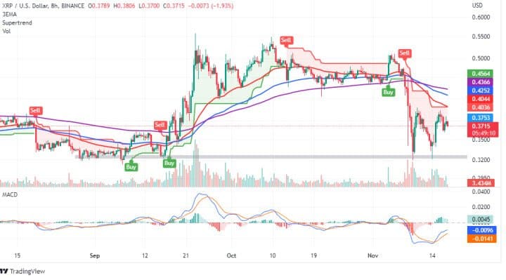 XRP 가격