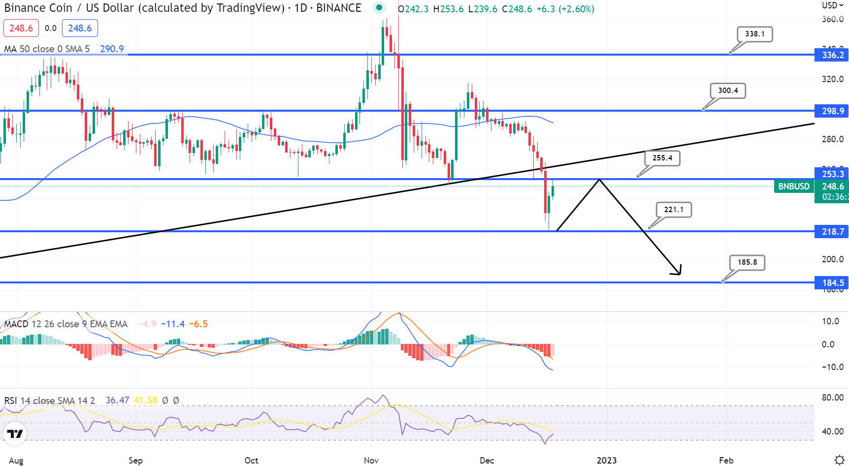 BNB 가격 차트