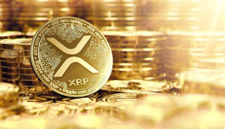 XRP 리플