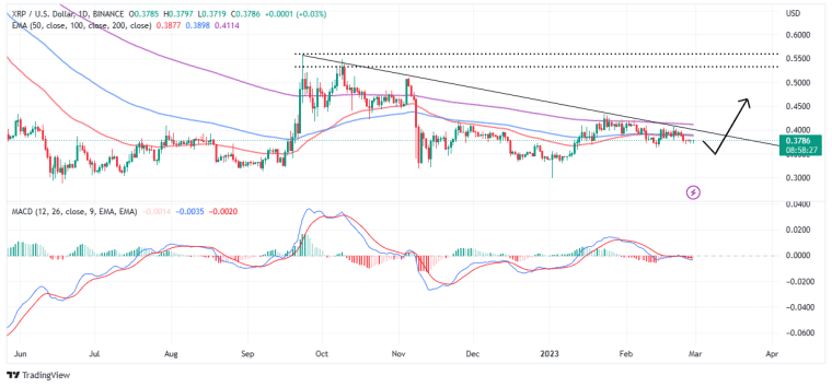 XRP 가격예측