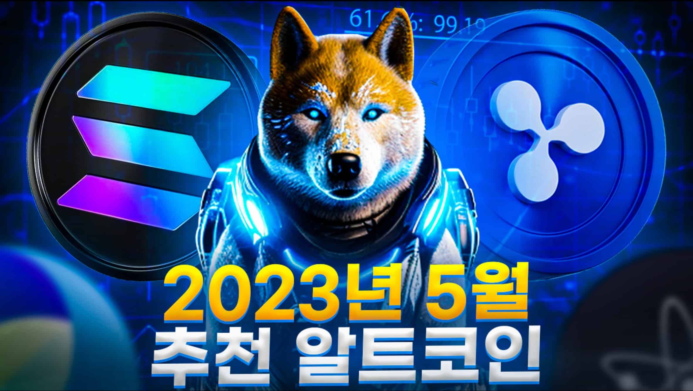 5월 추천 알트코인