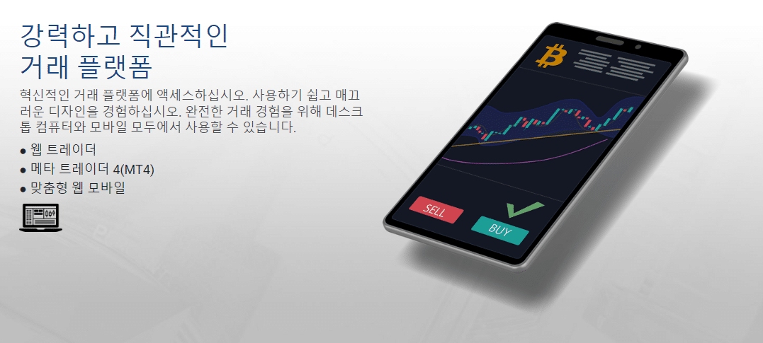 비트코인 트렌드