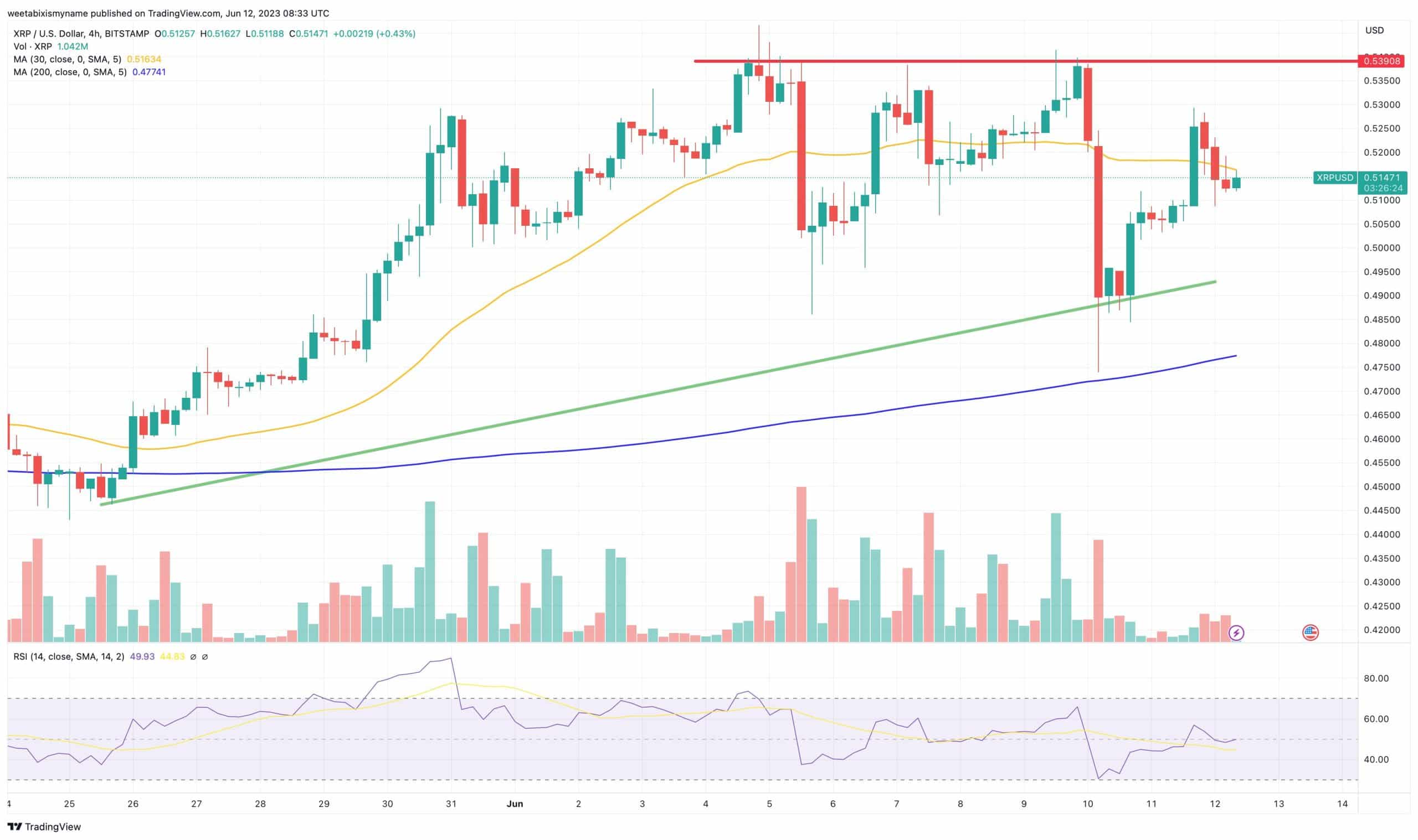 리플 XRP 전망